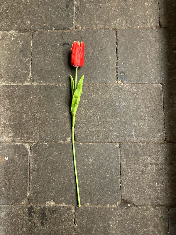 Zijde Parkiet Tulp Oranje