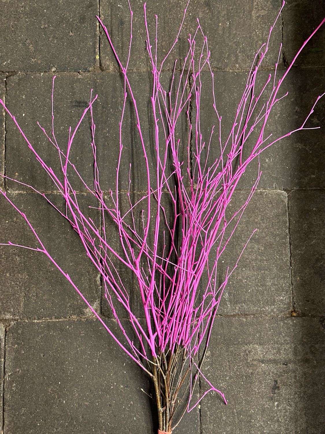Berkentak bosjes 10 tak Hard roze
