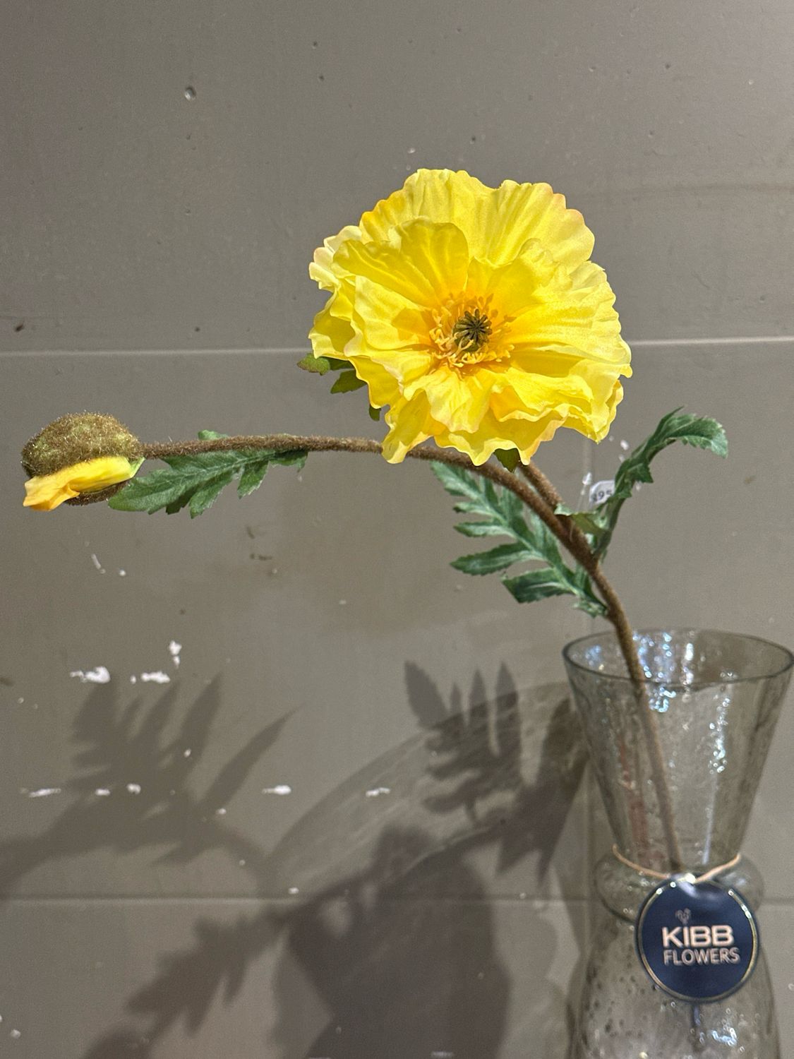 Papaver Yellow