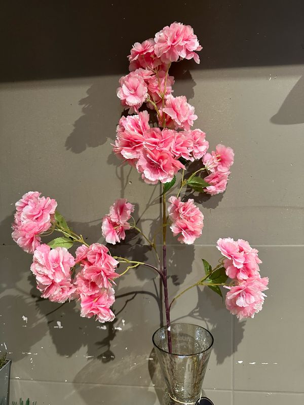 Bloesem Roze