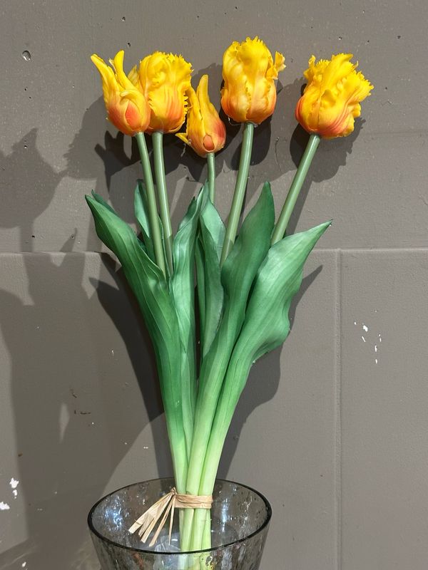 Bosje Tulpen Yellow (5stuks)