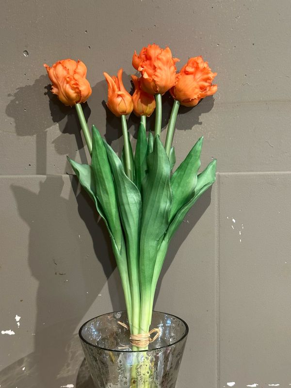 Bosje Tulpen Orange (5stuks)