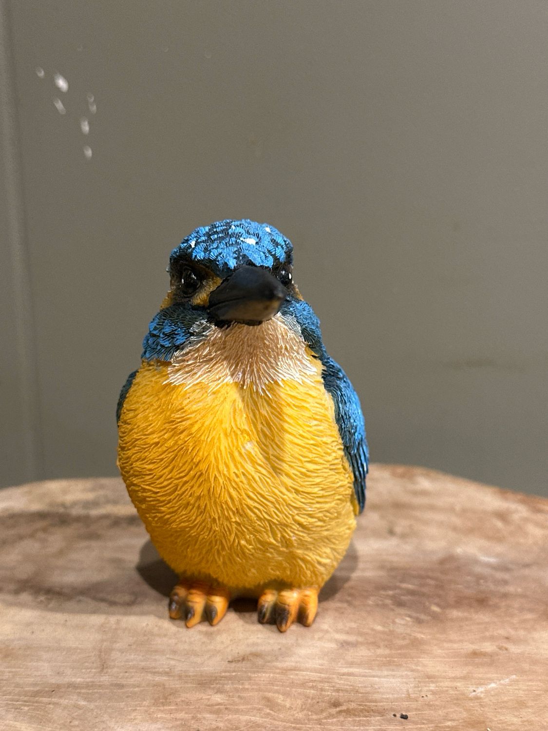 Ijsvogel