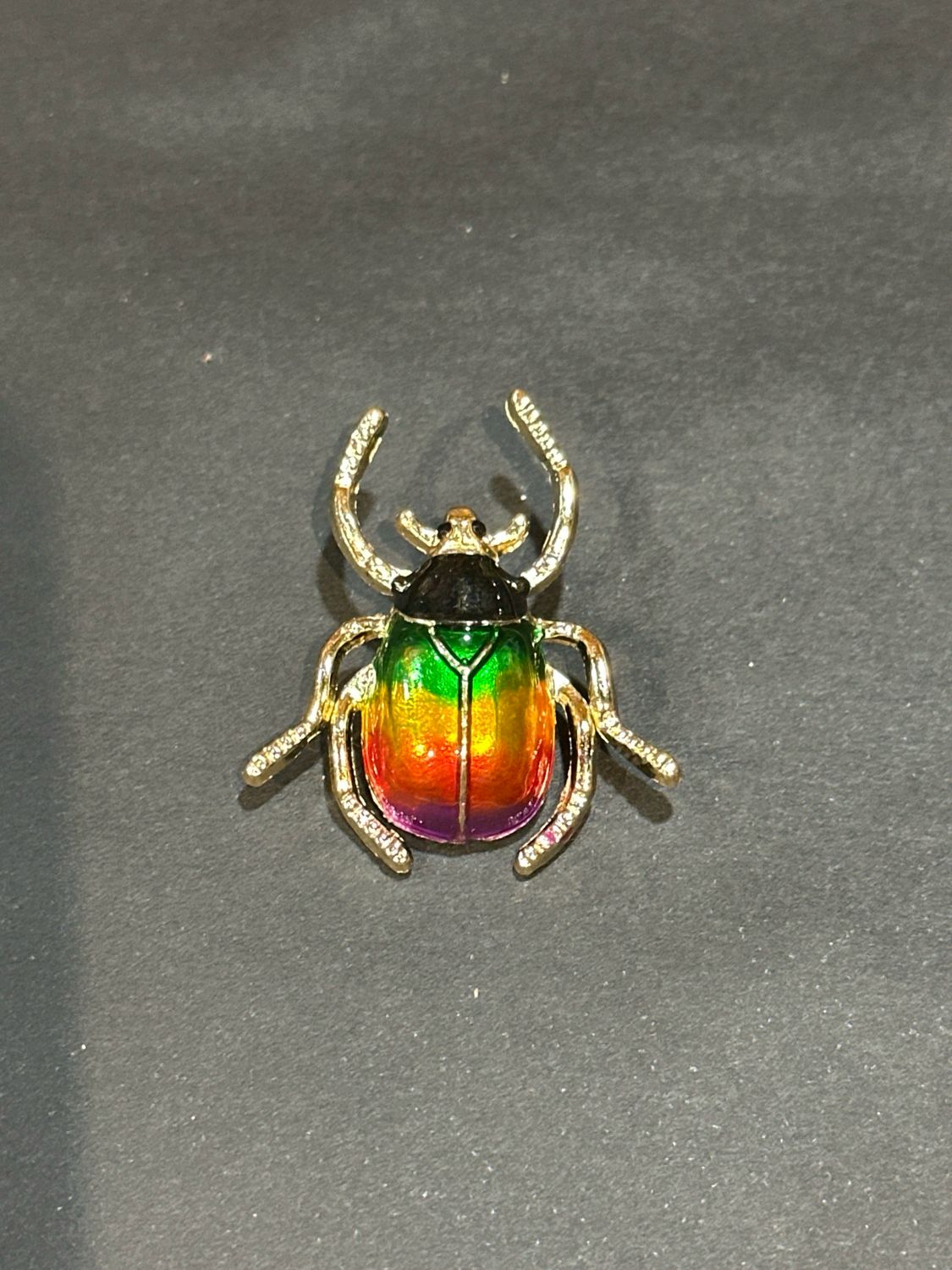 Rainbow kever