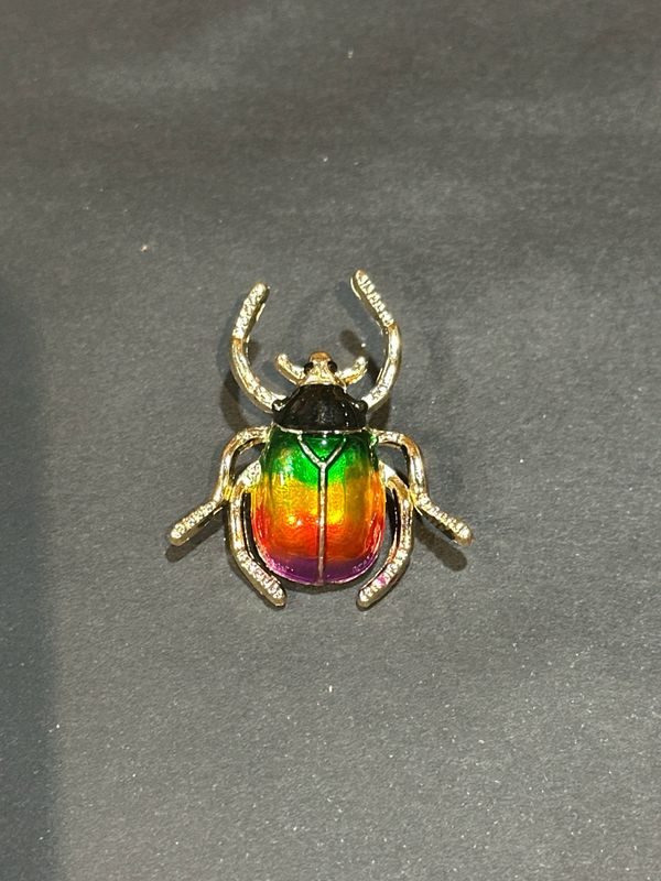 Rainbow kever