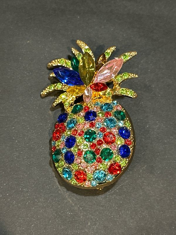 Gekleurde ananas
