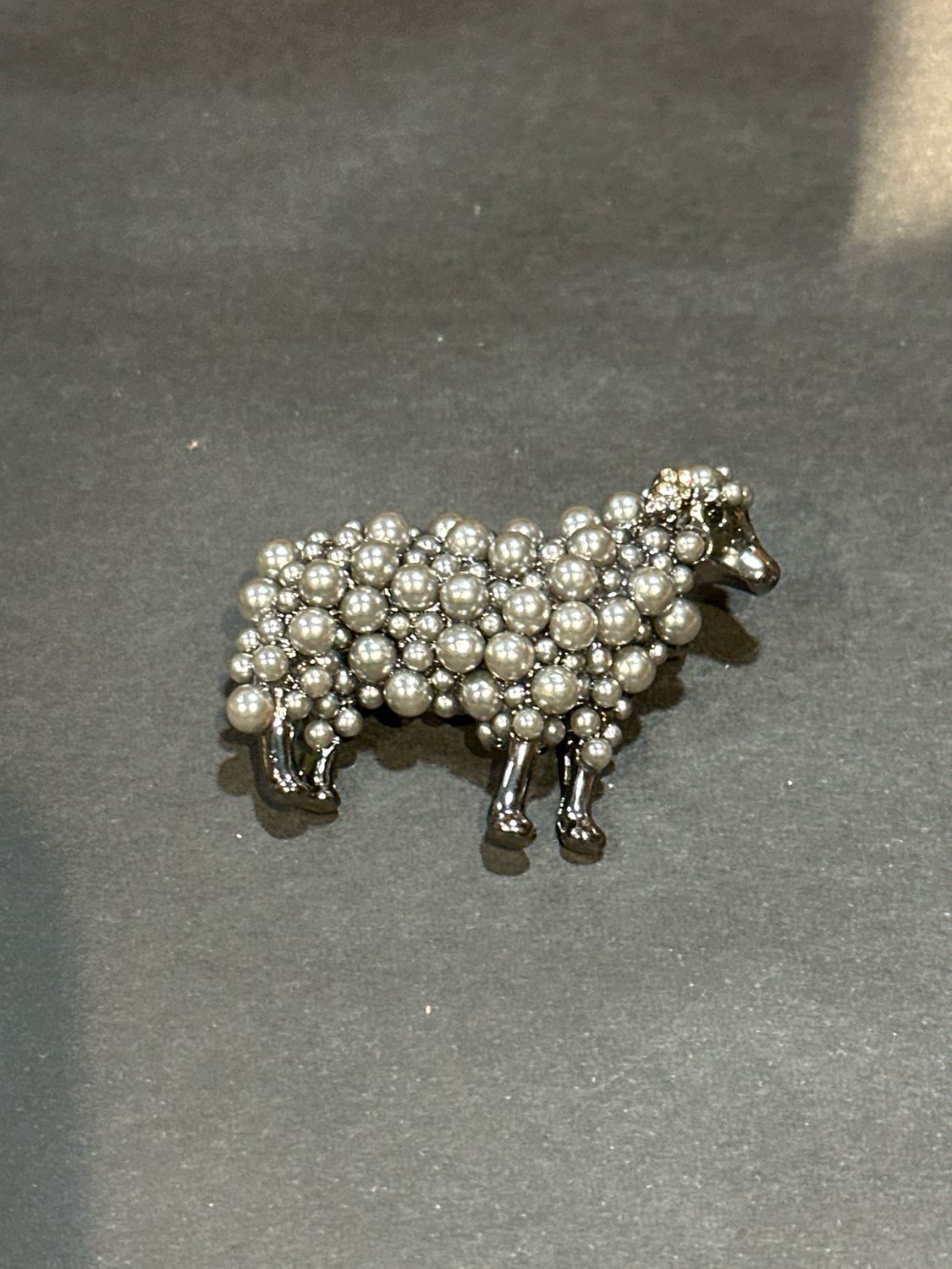 Schaap