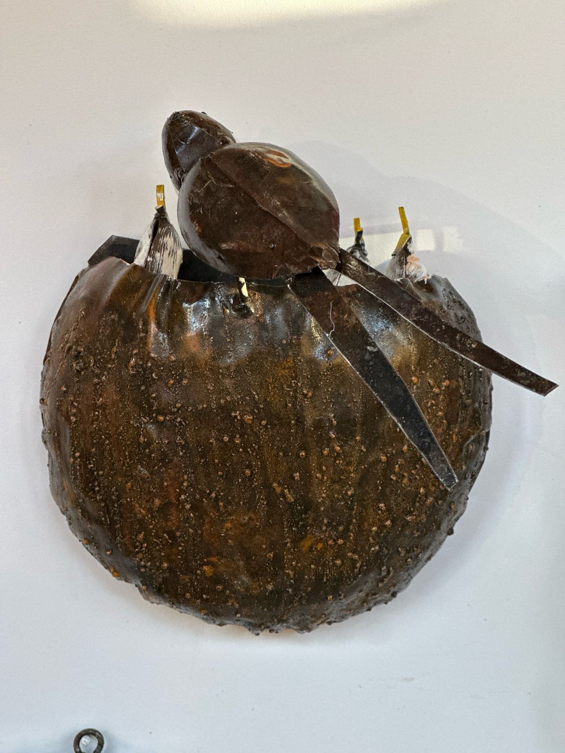 Hand gemaakte zwaluw nest