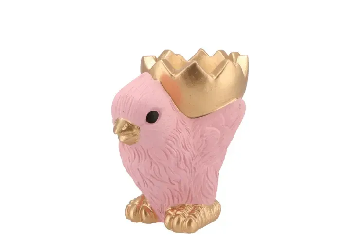 Kuiken met gouden ei