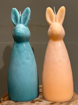Haas xl blauw/oranje