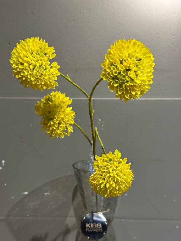 Sunny flower