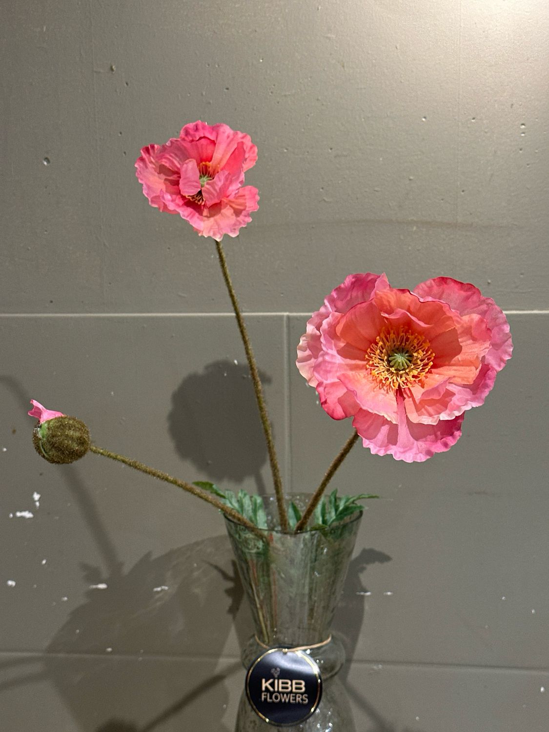 Papaver 3 taks zacht roze