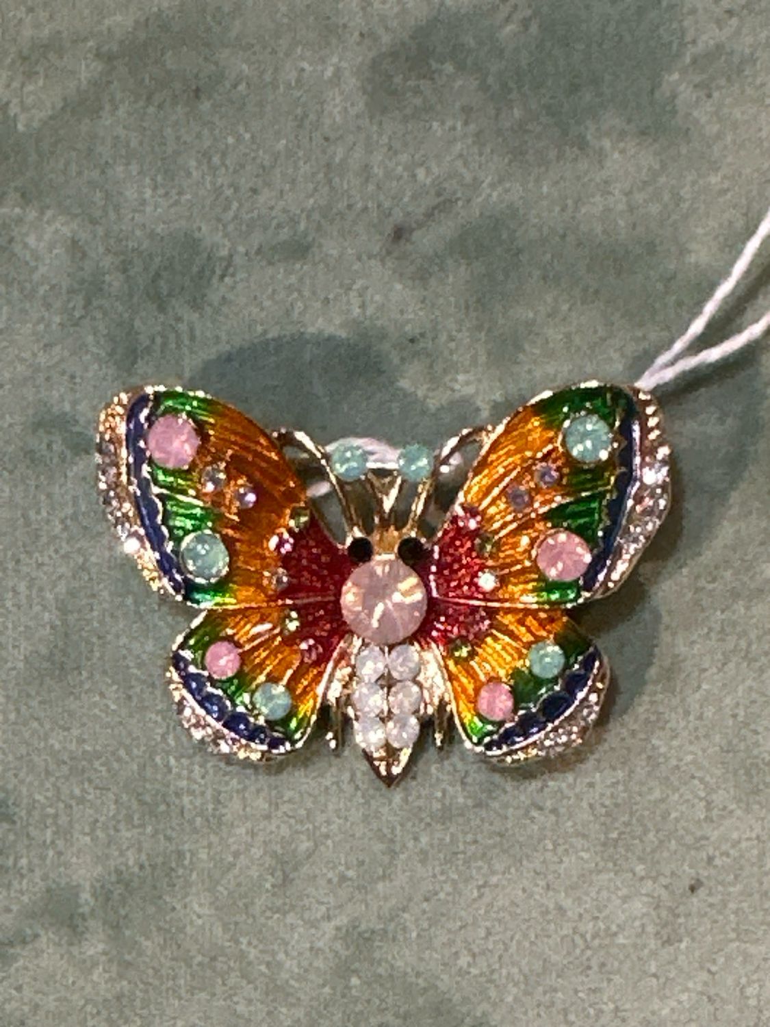 Rainbow vlinder