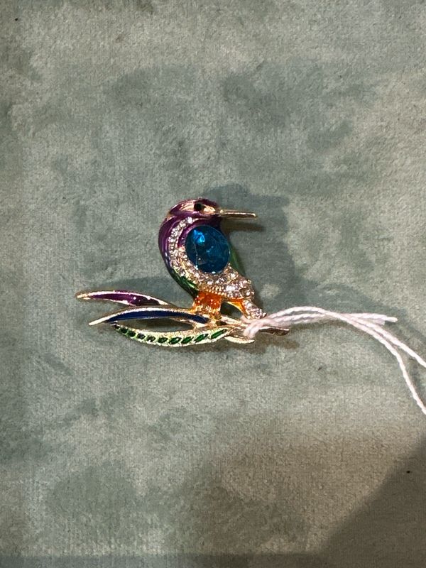 IJsvogel