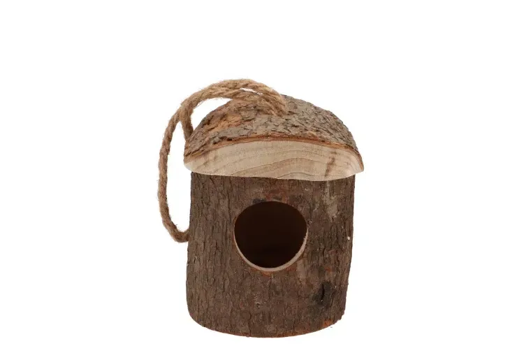 Vogelnestje