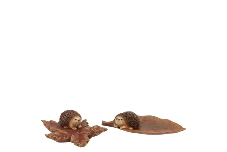 Egel op blad
