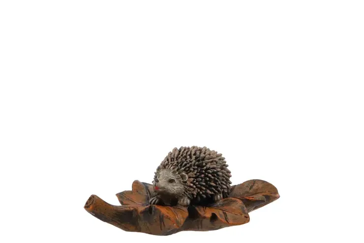 Egel op blad