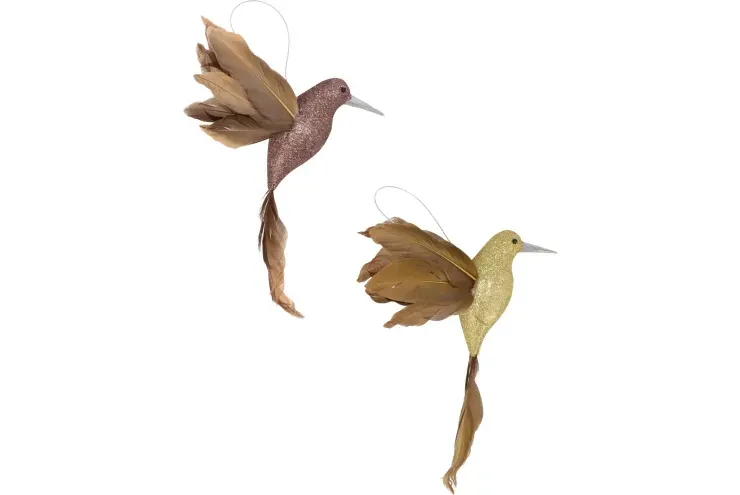 Shine birds