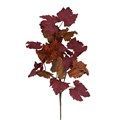Bordeaux gemengde bladeren