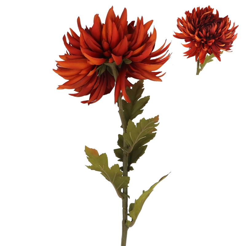 Oranje chrysantenstengel