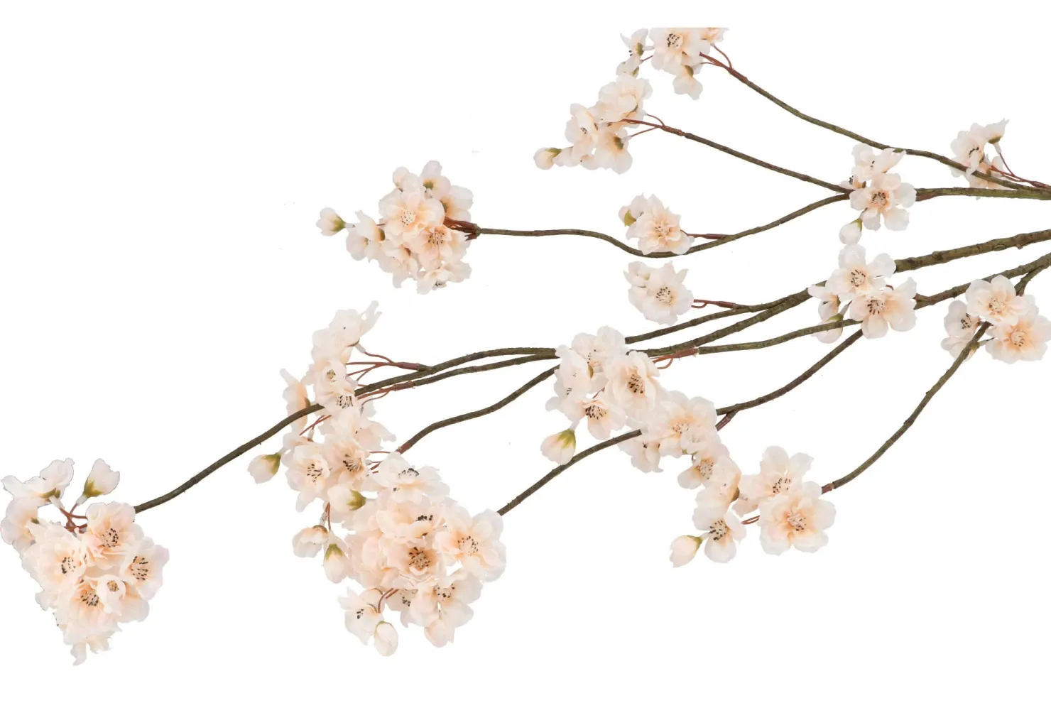 Zijden kersenbloesem champagne