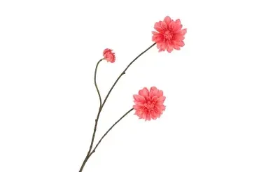 Zijden dahlia tak rood