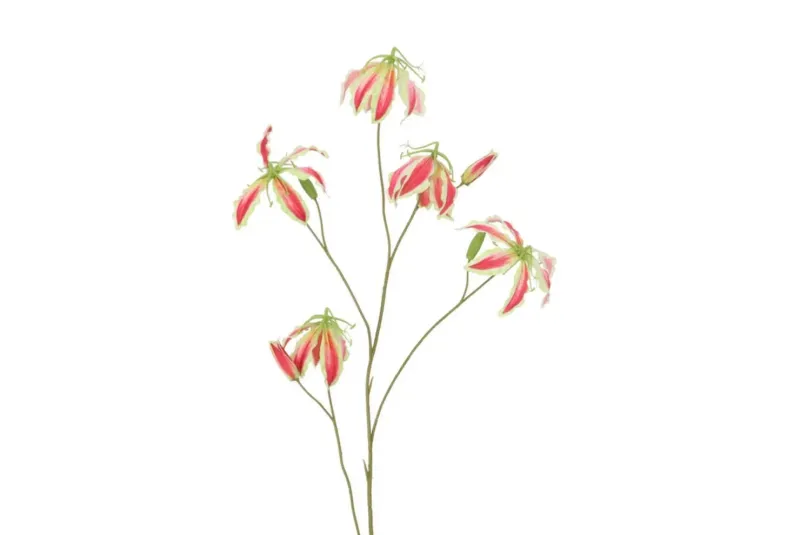 Zijden Gloriosa beauty