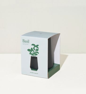 Black Tapered - Basil