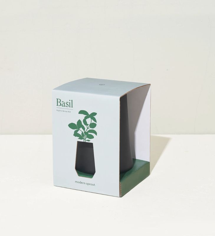 Black Tapered - Basil