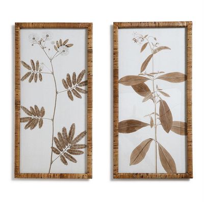 Mimosa and Star Flower Floral Print