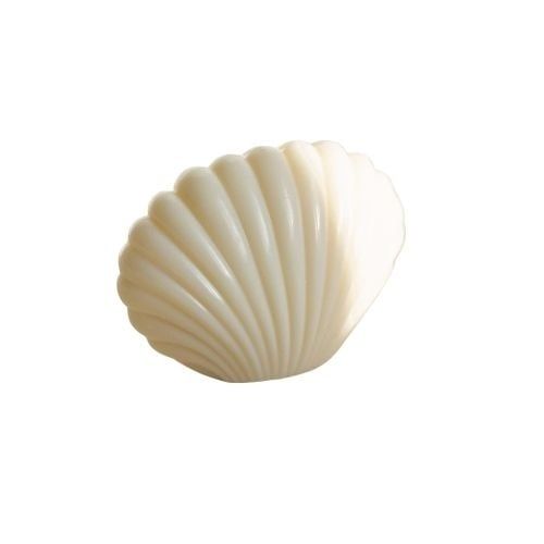 Shell Candle: Natural