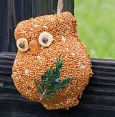 Ollie the Owl - Orange Seeds