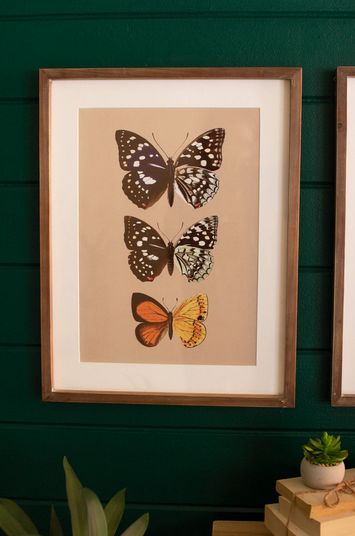 Framed butterfly prints under glass- Design B