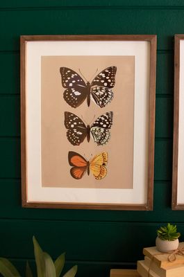 Framed butterfly prints under glass- Design B