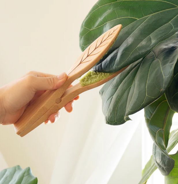 Leaf Cleaning Tongs