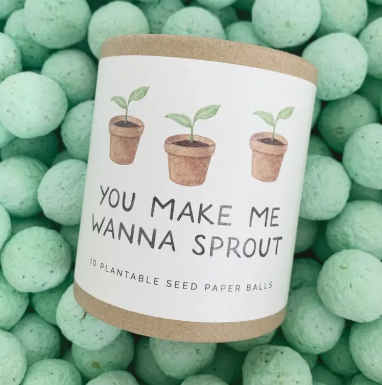 Make Me Sprout — Plantable Wildflower Seed Ball Gift Set
