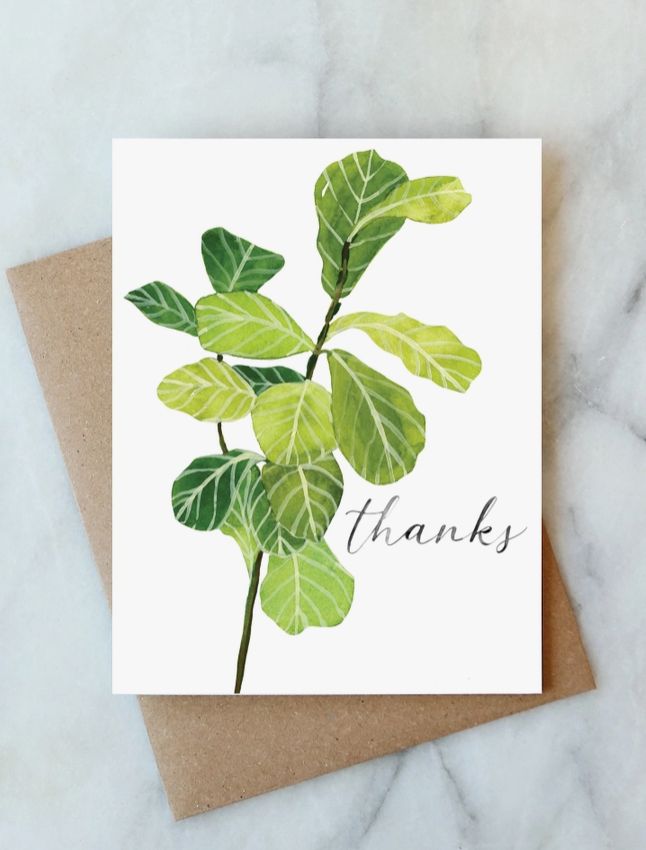 Fiddle Leaf Thanks Cards - Set of 6
