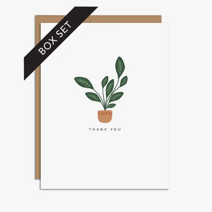 &quot;Thank You&quot; Calatheas / Plant / Thank You / BOX SET OF 8