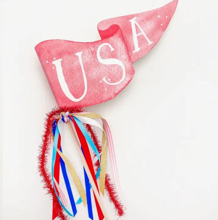 USA Party Pennant