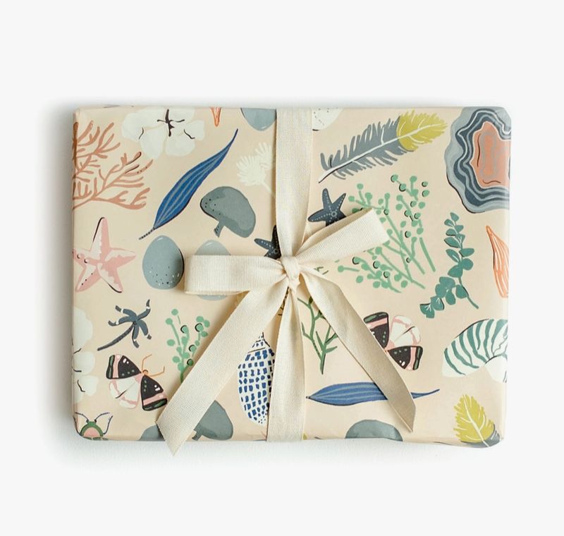 Natural Curiosities Wrap - Roll