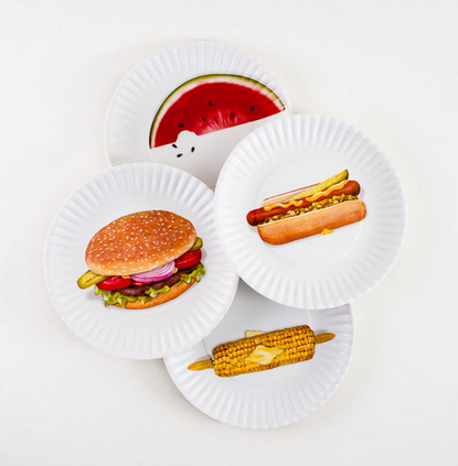 Picnic &quot;Paper&quot; Plate, Set of 4