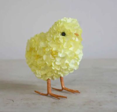 Hydrangea Chick - Yellow