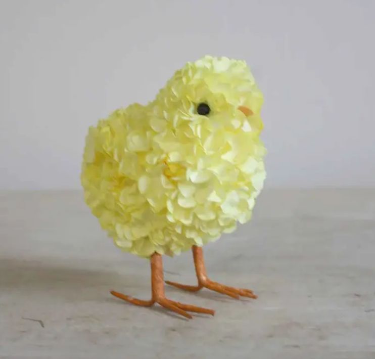 Hydrangea Chick - Yellow