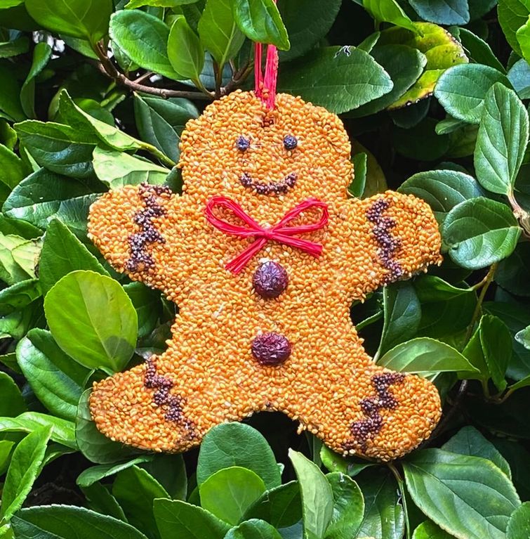 Gingerbread Man Christmas Cookie