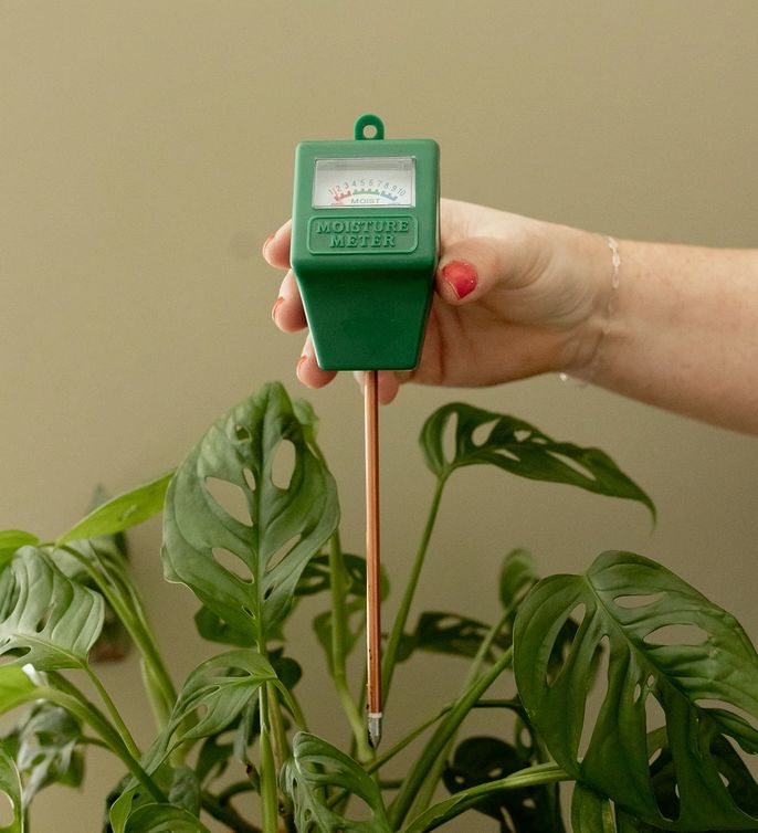 Moisture Meter