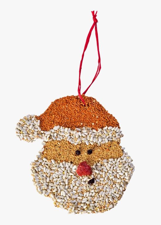 Santa Christmas Cookie