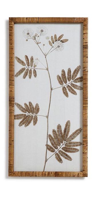 Mimosa and Star Flower Floral Print, Style: Design A