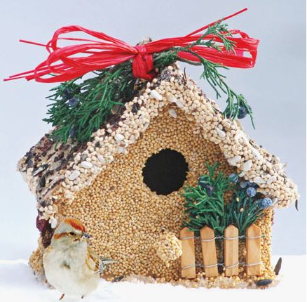 Holiday Birdie Cottage Treat, Style: Fence
