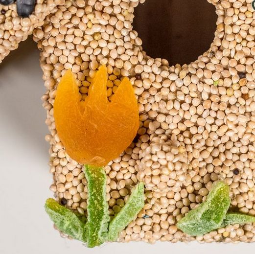 Spring Fruit Cottage w/, Style: Orange Tulip