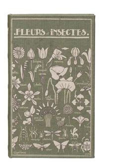 Canvas Book Storage Box - Fleurs et Insects